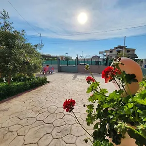 Apartment Orange, Vlore